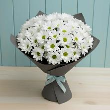 Букет цветов из:  Хризантемы #REPLACE_PRED# Желябино
