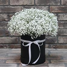 Цветочная композиция из Гипсофила в шляпной коробке #REPLACE_PRED# Желябино