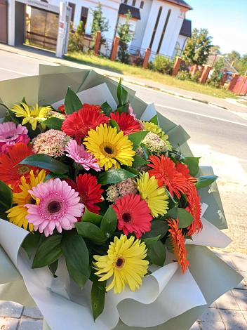 Букет цветов из: Герберы в Желябино