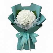 Букет цветов из:  Гортензия в Желябино